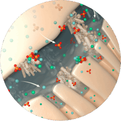 Bioactiviy Illustration Circle